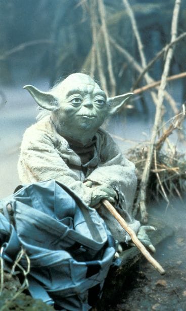AOP star wars yoda