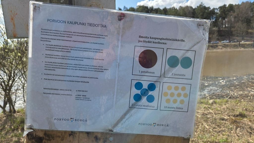 2804-lintuinfluenssa-kyltti