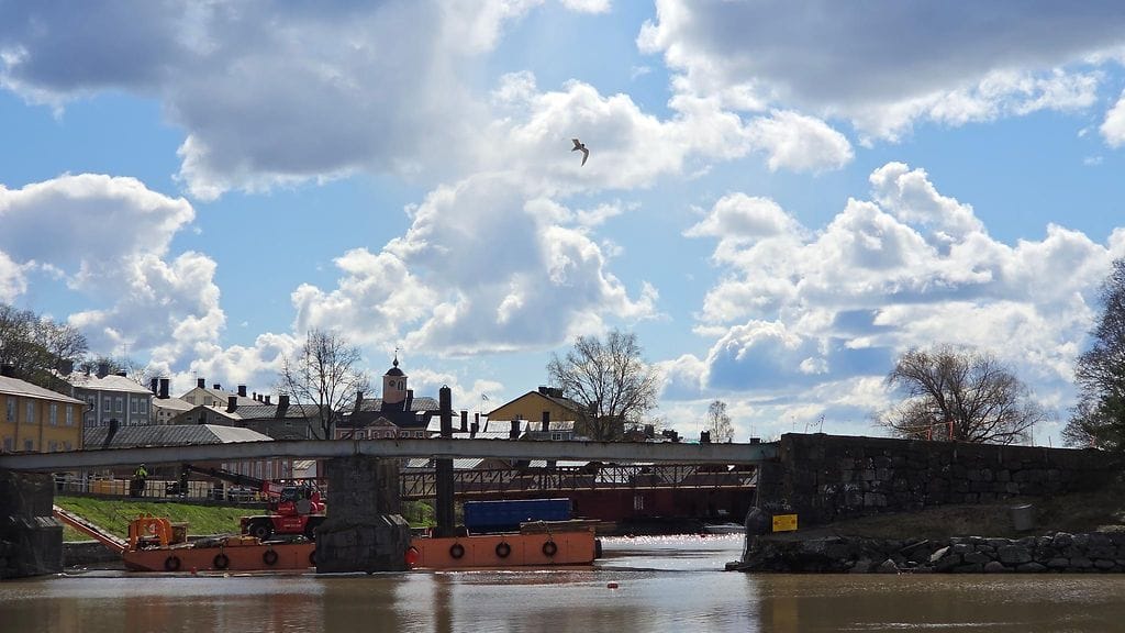 2804-lintuinfluenssa-tiira