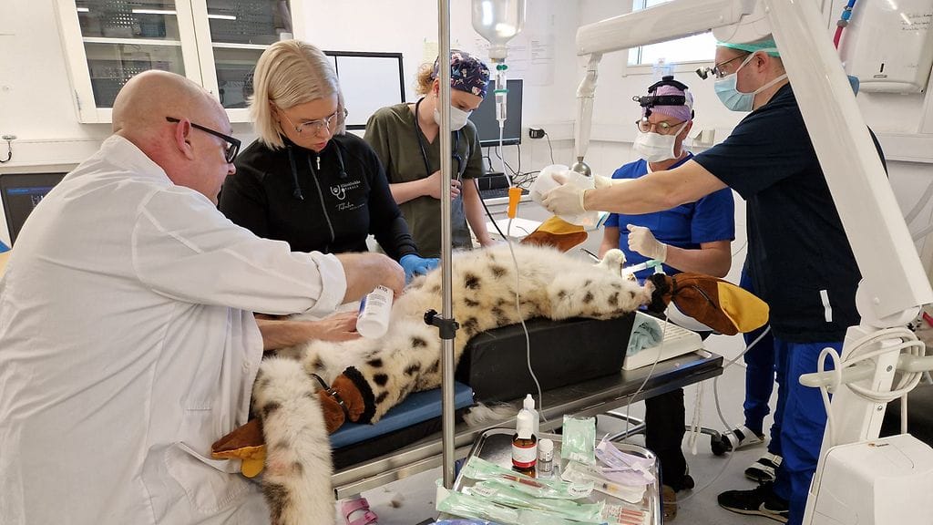 Kuva: Marko Haapakoski.