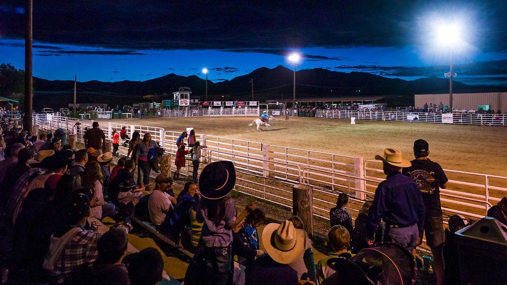 Rodeosuuruus on poissa. Kuvituskuva.