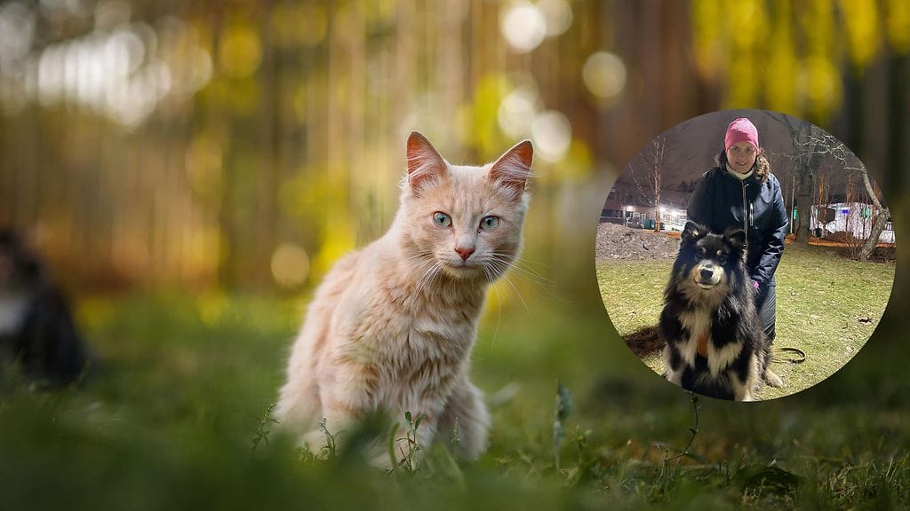 Pikkukuvassa Lena ja Ranja-koira.