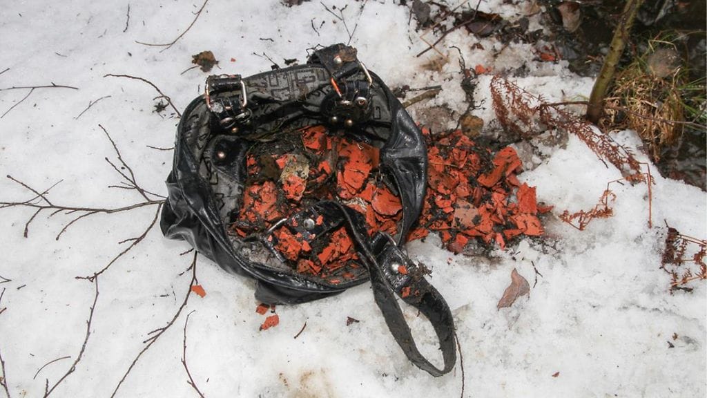 0705 Pulkkamurha kassi