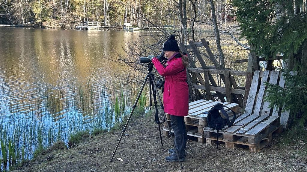 Lintulaskennat, Heidi Björklund