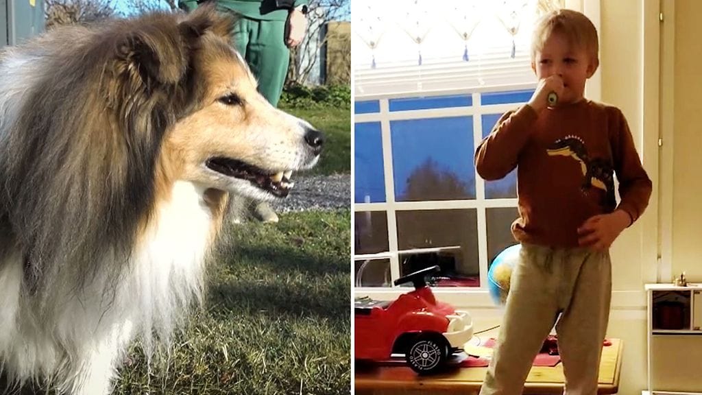 Seppo on suosittu somevaikuttaja. Suomalaislapset innostuivat Bara bada bastusta, vaikka sanat eivät olekaan ihan alkuperäisessä muodossaan.