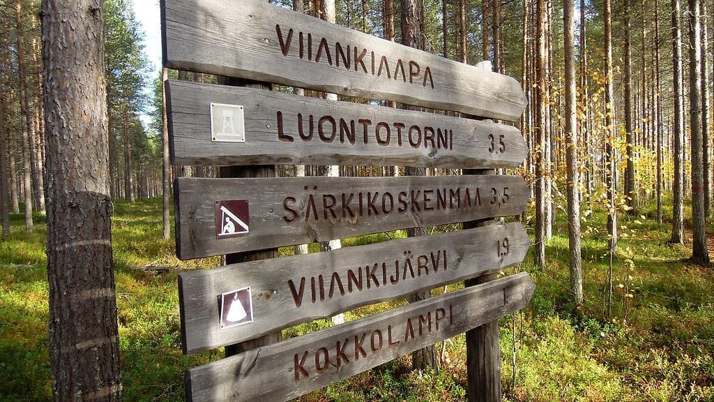 Lk1205 Viiankiaavan soidensuojelualue