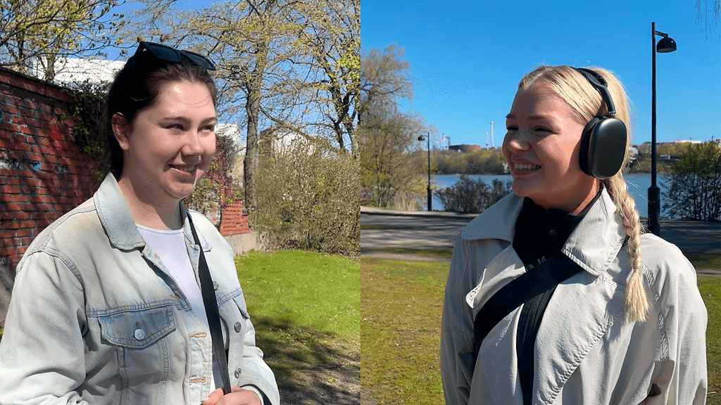 1205 schichmannraatikainen