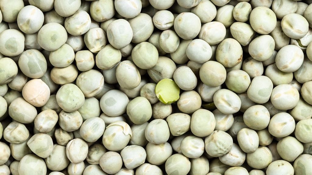 Tienpinta oli peittynyt kuivista herneistä, mikä johti ulosajoon.