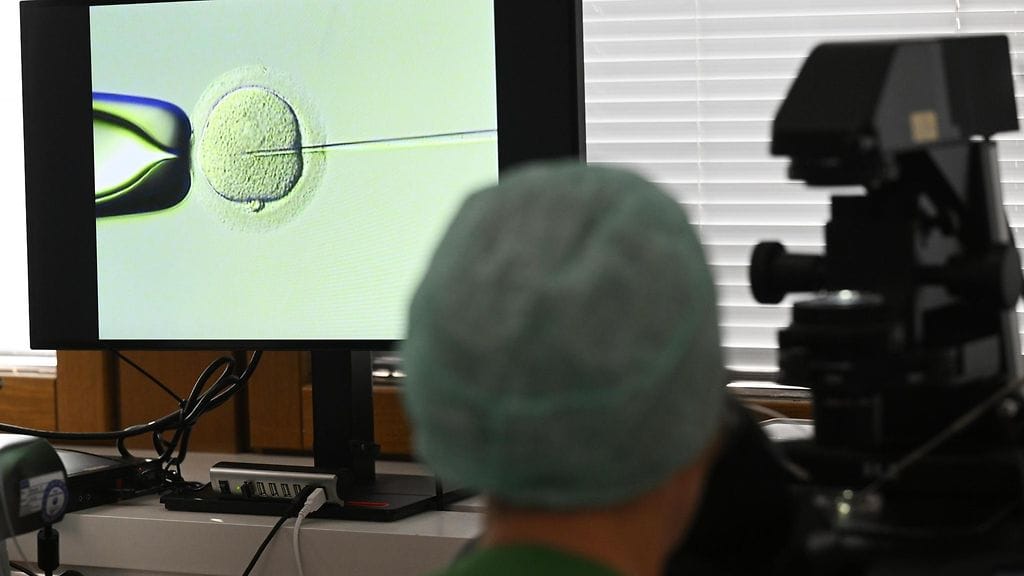 LK21052025_hedelmöityshoito_mehiläinen