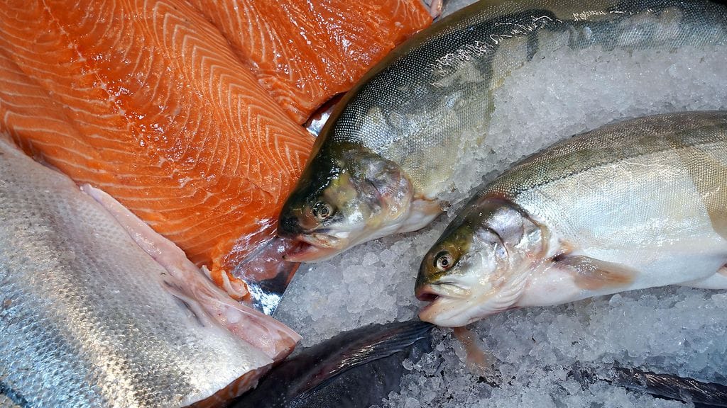 Nieriä eli rautu on nyt sesongissa.