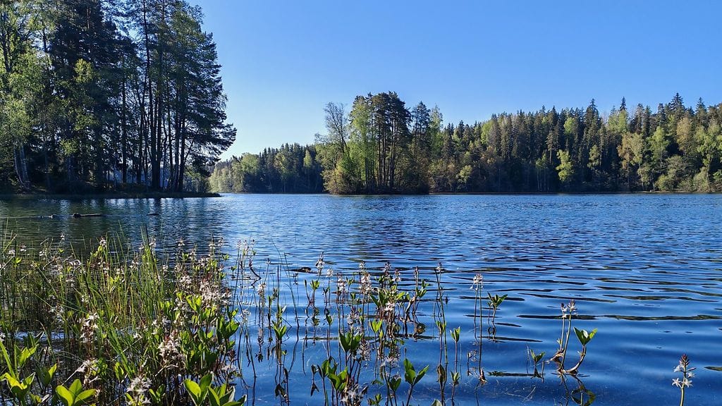 2605-lukijan sääkuva