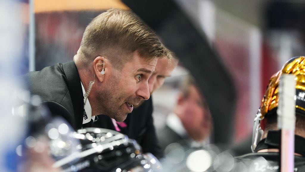 Kari Kalto on aiemmin toiminut apuvalmentajana TPS:ssä ja HIFK:ssa.
