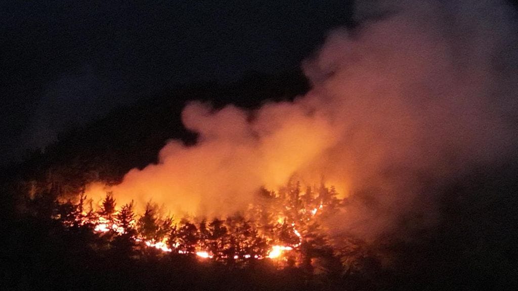 Kuvituskuva. Porin prikaatin palot syttyivät kangasmetsässä.