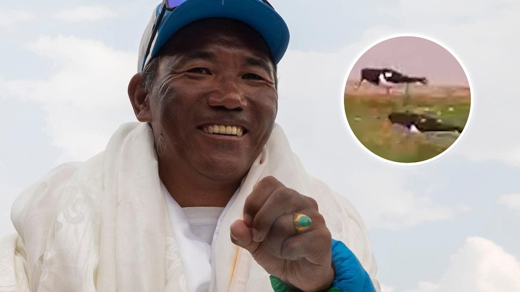 Sherpa teki ennätyksen ja harakat kisailivat. Lue alta lisää hyviä uutisia!