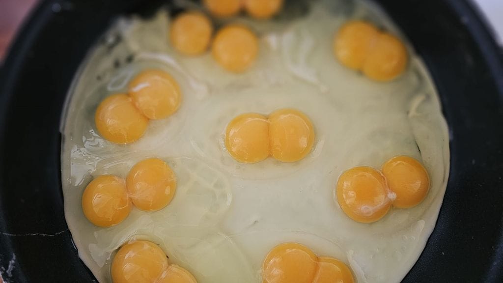 tuplakeltuainen Nina Äijälä kenno