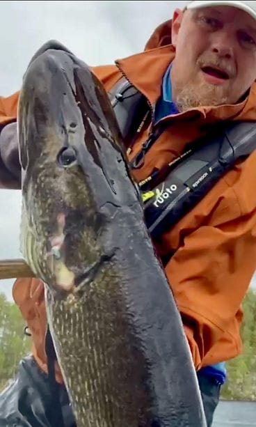 138 senttiä pitkä ja yli 17-kiloinen otus ui Janne Vepsäläisen vieheeseen kirkasvetisellä järvellä Sisä-Suomessa. 4