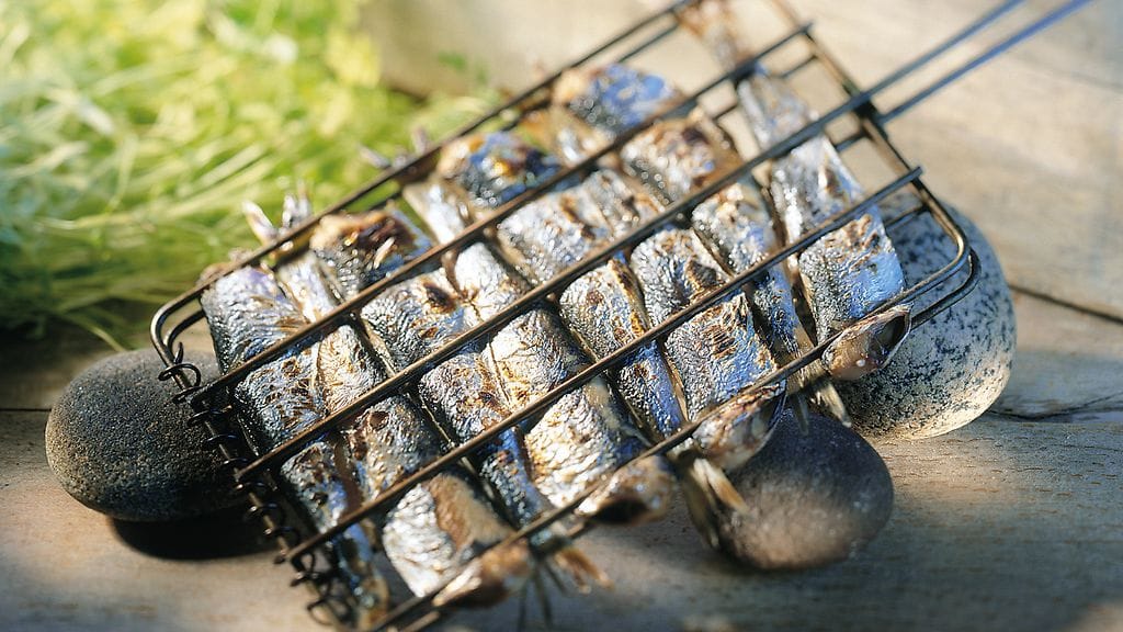 Rysäsilakat maistuvat vaikka haltstrattuna.