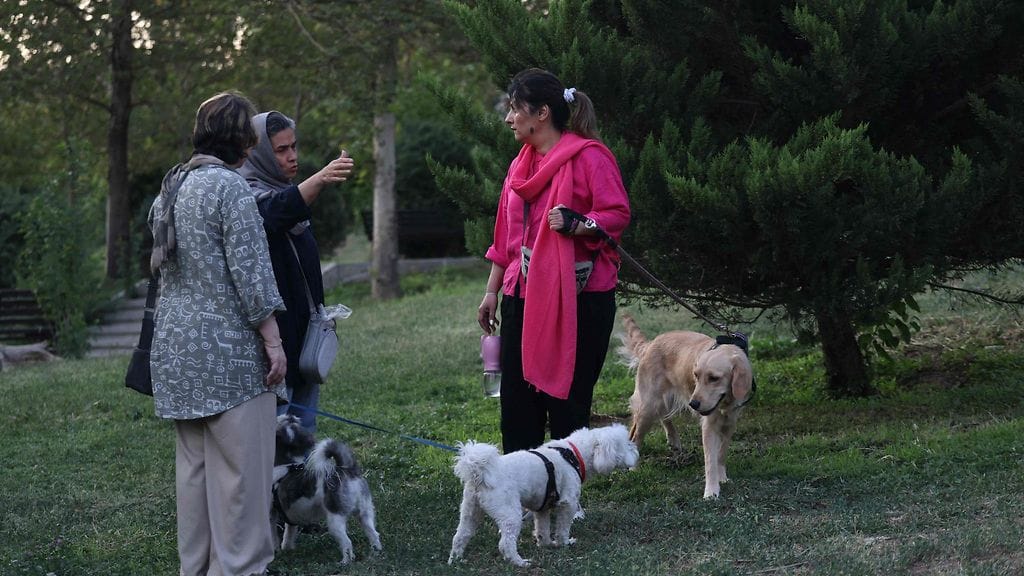 Teheranilaiset ulkoiluttivat koiriaan puistossa myös tänään sunnuntaina pääkaupungissa vuosia jatkuneesta kiellosta huolimatta.