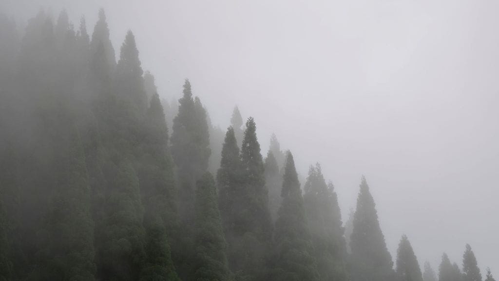 Pienkoneen kerrotaan kadonneen Siperiassa. Kuvituskuva.