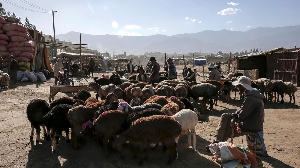 Ulkoministeriön mukaan Afganistanin turvallisuustilanne on yhä synkkä. Kuvituskuva markkinoillta Kabulista.