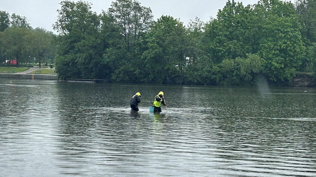 Kalastusroska, harausta