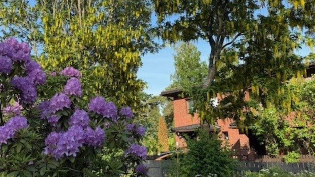 Kuvituskuva Helsingin Vartiokylästä.