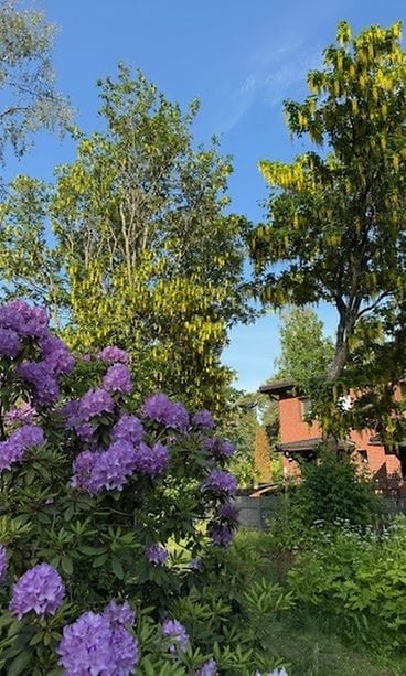 JUTTUUN Vartsikka 14.6.2025