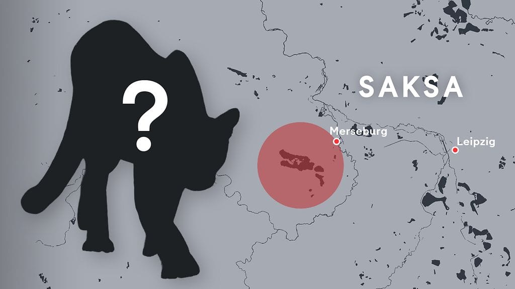 Saksassa on annettu petoeläinvaroitus.