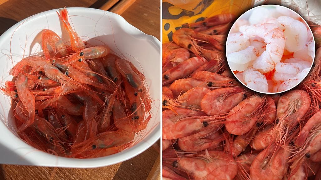 Katkarapuja nautiskellaan Suomessa pääosin kuorittuina pakasteina. Kuorelliset katkaravut ovat sen sijaan tuttuja muun muassa risteilylaivojen buffeteista.