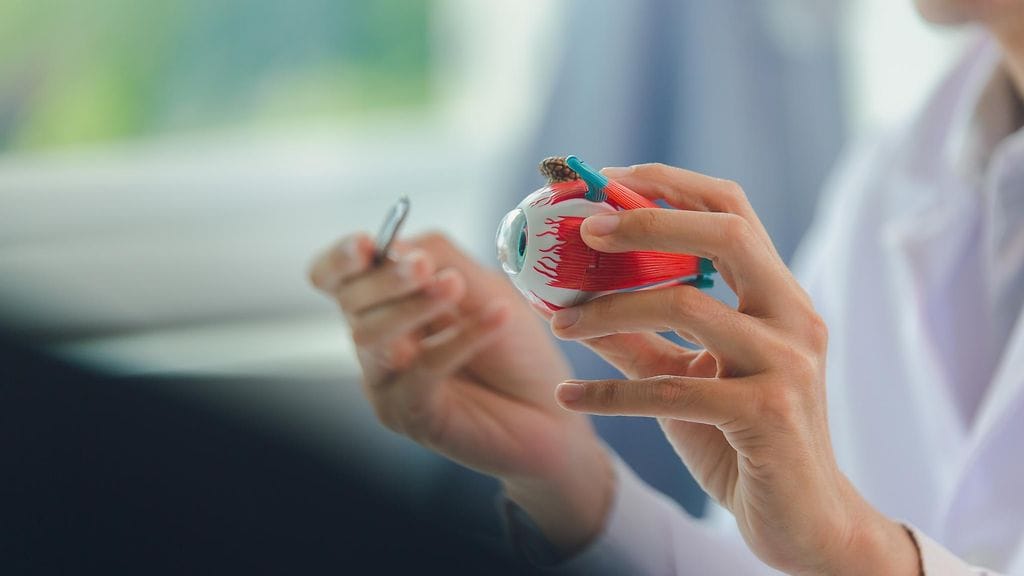 Silmän verisuonista tai hermoista saattaa löytyä vihjeitä muista sairauksista.