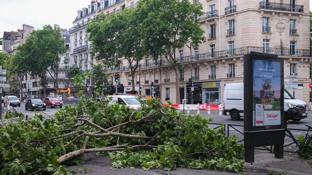 Hirmumyrsky on kurittanut Etelä-Ranskaa. Puu kaatui 12-vuotiaan pojan päälle, ja mönkijällä ajanut mies törmäsi toiseen myrskyn kaatamaan puuhun.