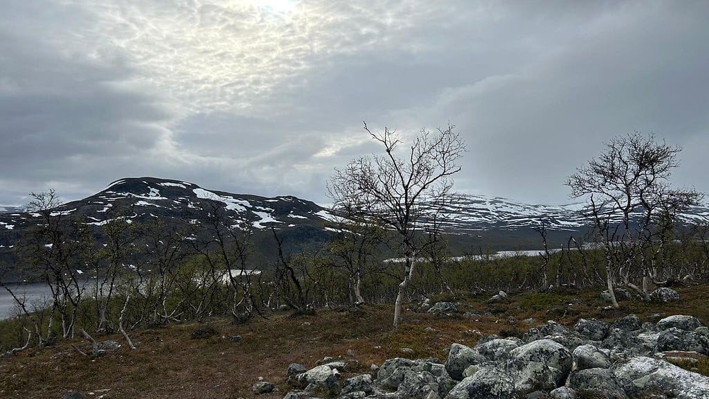 Kilpisjärvellä kesäkuussa