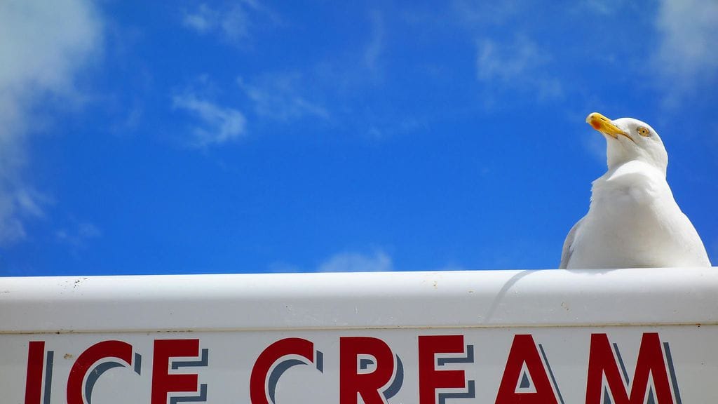 shutterstock_663618481