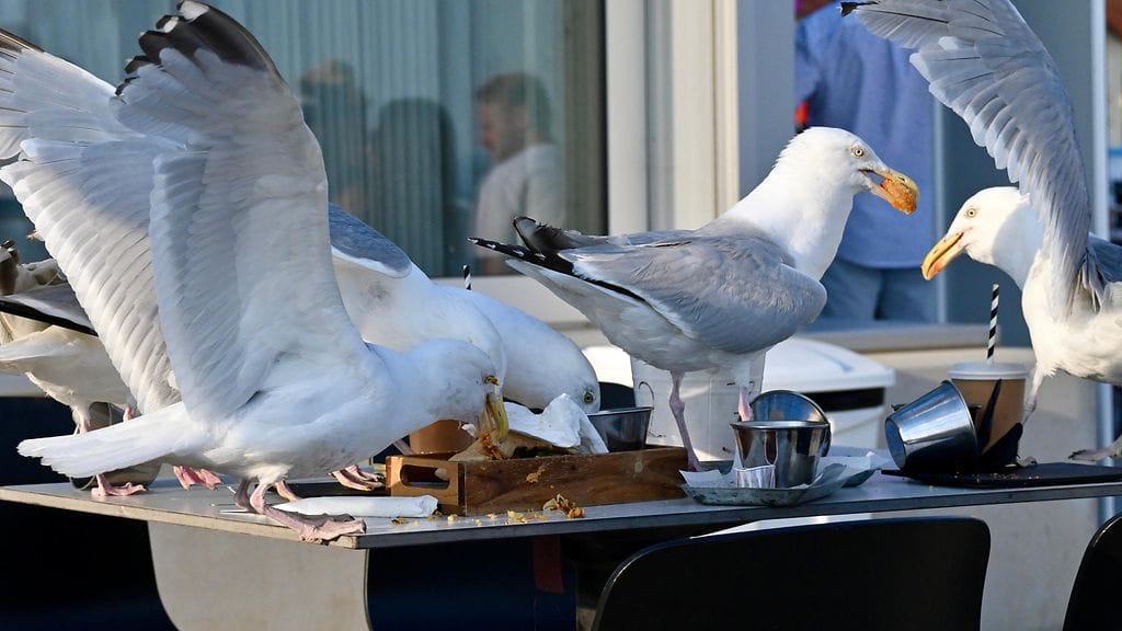 shutterstock_1795398721