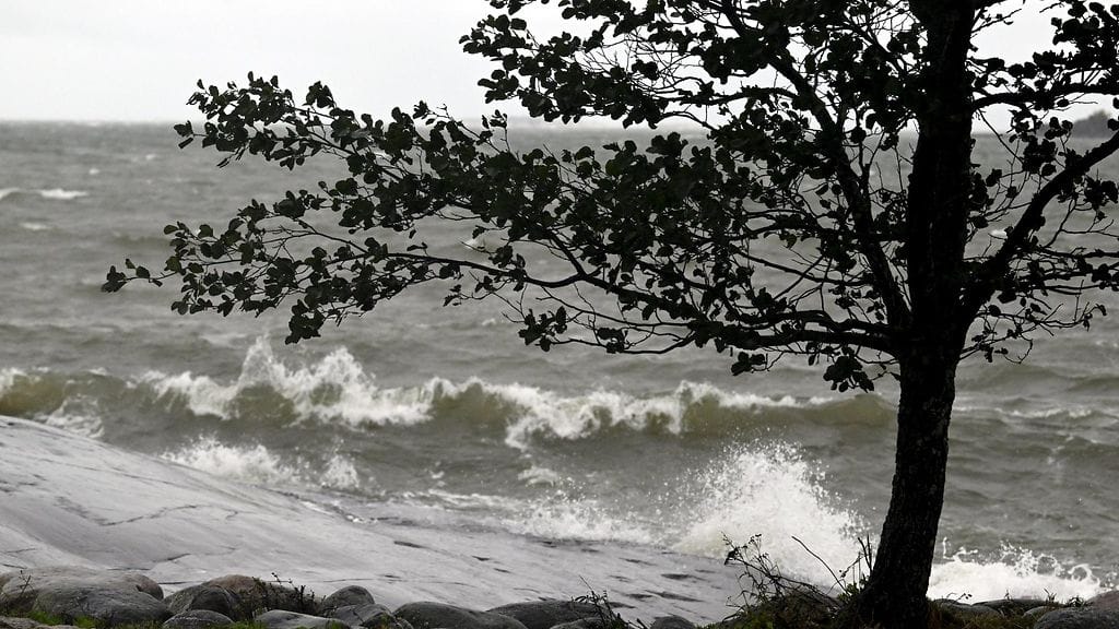 Listasimme vinkkejä, joiden avulla voit varautua tuulituhoihin.