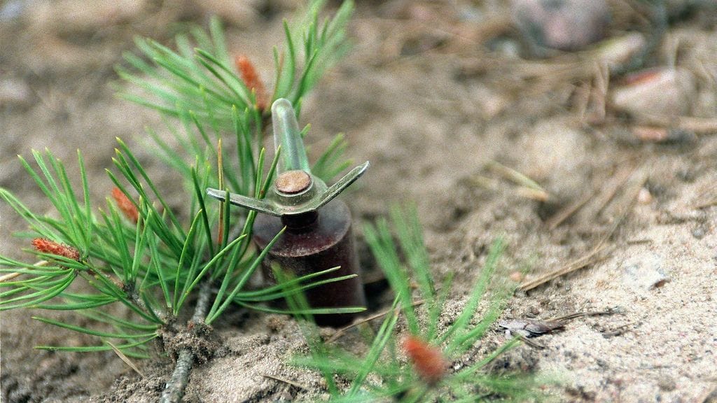 Jalkaväkimiina (sakaramiina 65 - 98). Kuvattu 18.5.2000.