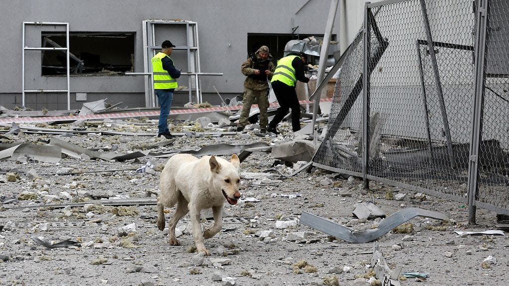 AOP Ukrainan pääkaupungissa Kiovassa raivattiin Venäjän raketti- ja lennokki-iskujen jälkiä huhtikuussa 2025. Kuvassa on myös koira.
