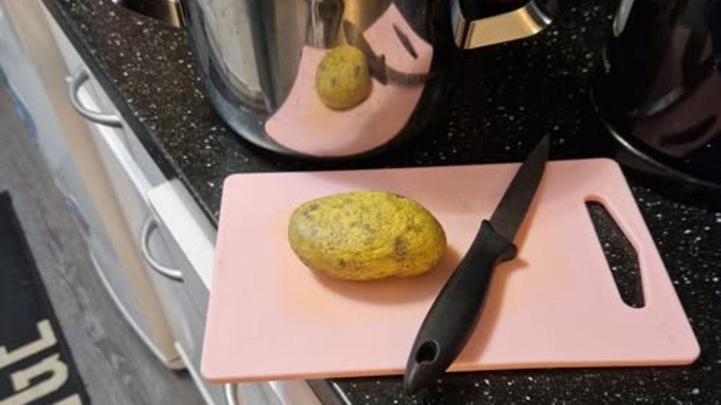 Sanna Tapion peruna-kivi