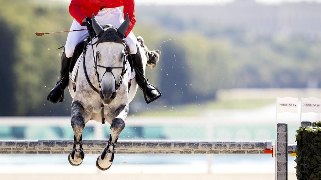 Ratsastaja on poissa. Kuvituskuva.