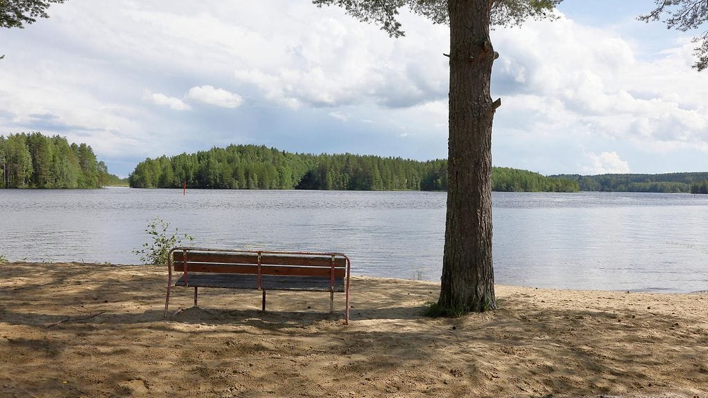 Kuvituskuva Pielisjoelta, jossa pelastettiin väsynyt uimari veden varasta.