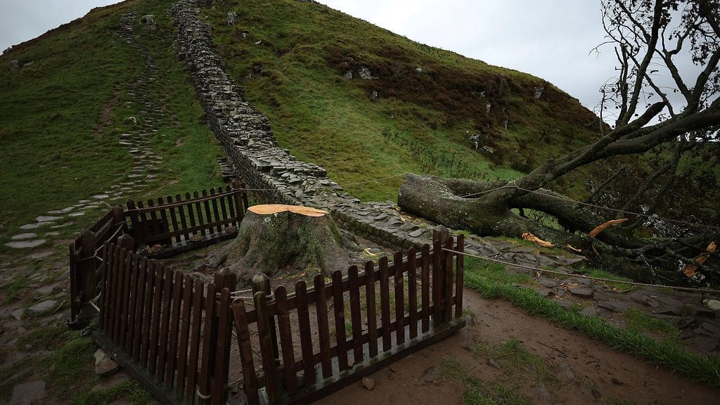 Sycamore Gap tuli tunnetuksi Robin Hood -elokuvasta.