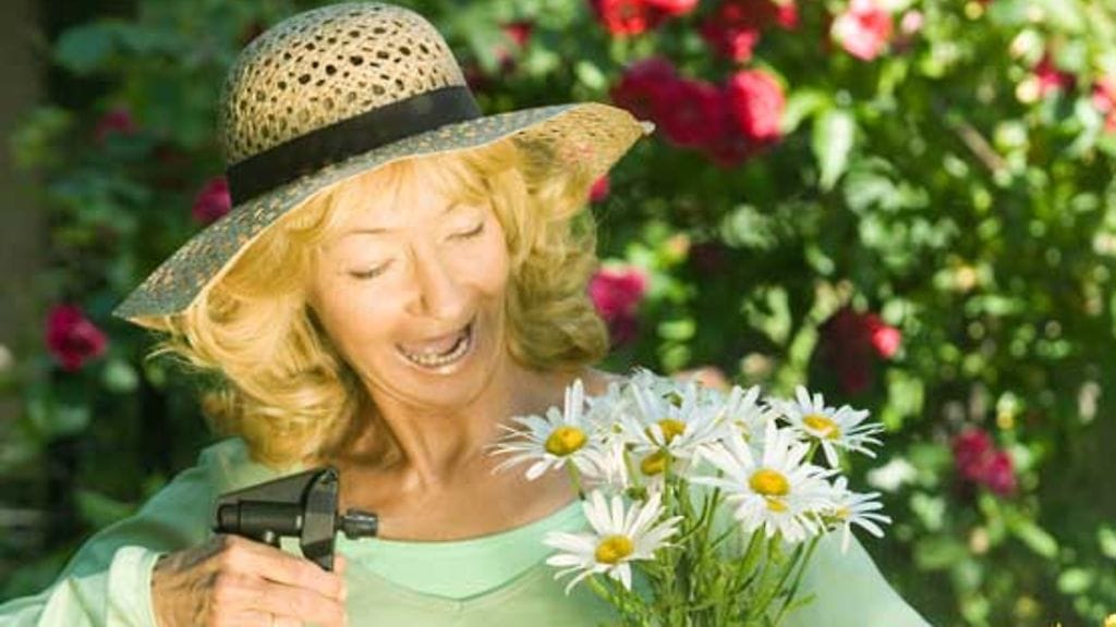 Aurinko on oikein nautittuna ystävä.