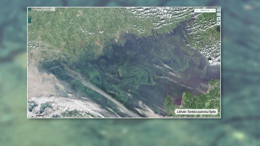 Satelliittikuva avomereltä, sinilevät