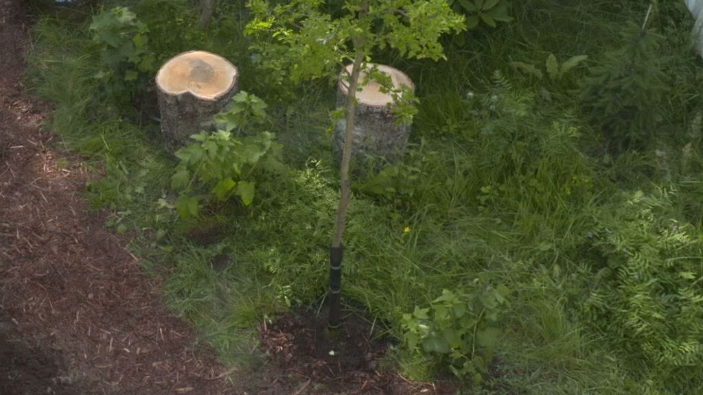 2107 MTV MIKROMETSÄ 1