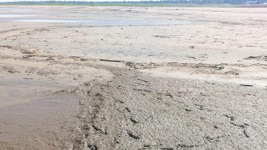 Kalajoen kaupungin mukaan lieju on kasviperäistä jätettä, ei ulostetta.