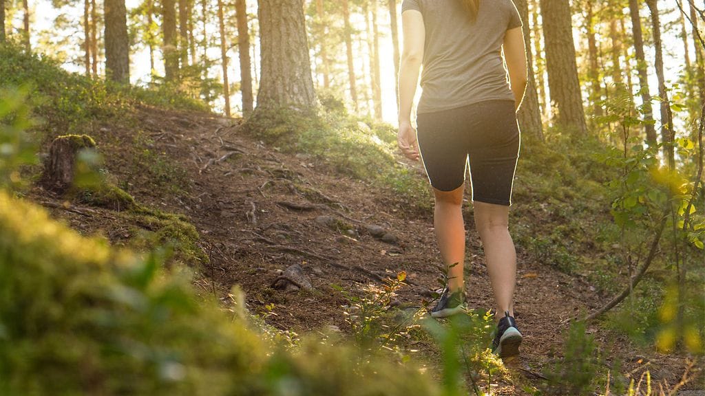 kävelyllä metsässä