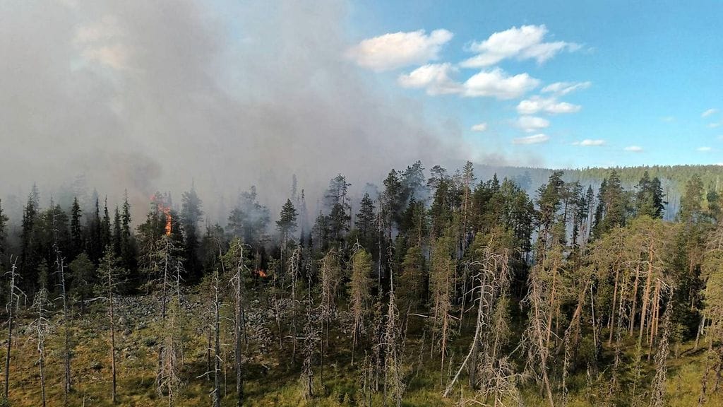 LK maastopalo lappi (1)