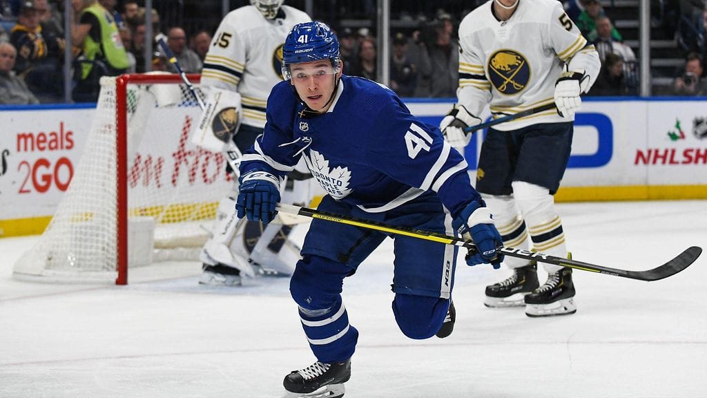 Dmytro Timashov Toronto Maple Leafs