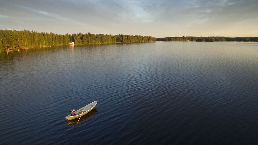 Riitelevät varkaat paljastivat itsensä.