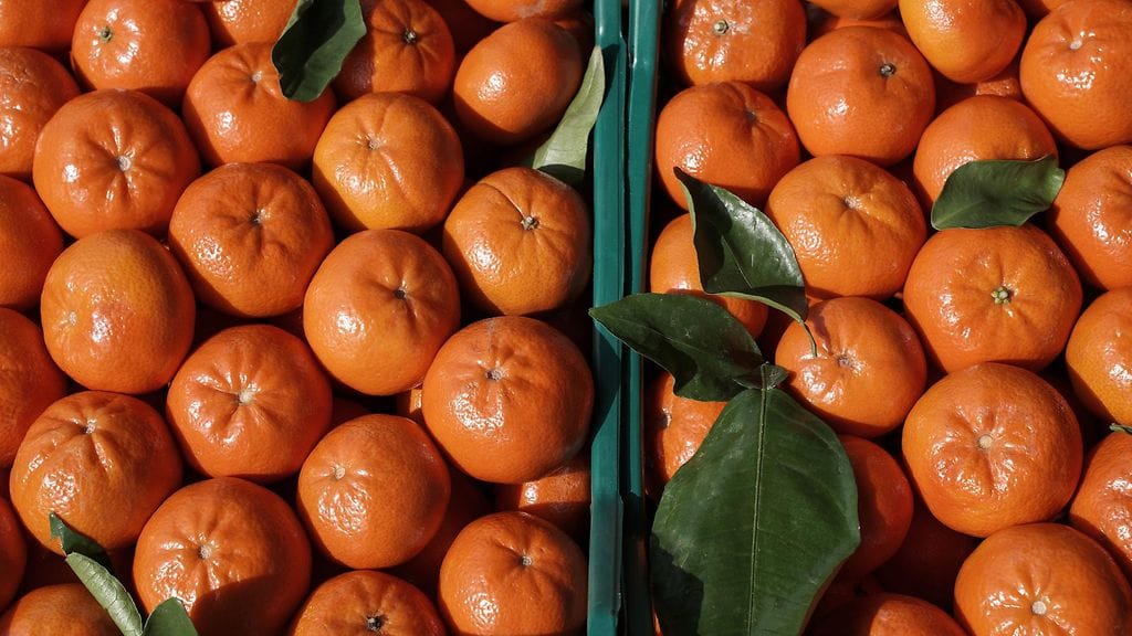 Klementiini on suosittu välipalahedelmä.